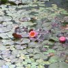 Botanischer Garten